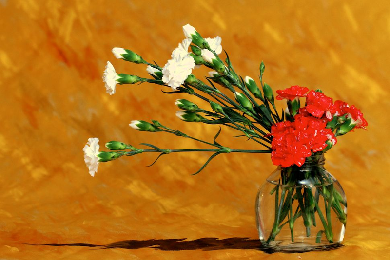 Illustration for article titled Shooting Challenge Gallery: Color Match
